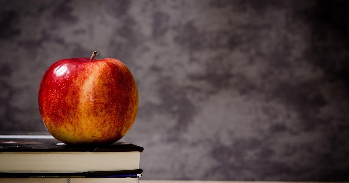 清晨的中学教室门口，一位家长在手机上查看学校通推送的班级通知，晨光从走廊窗户斜射进来
